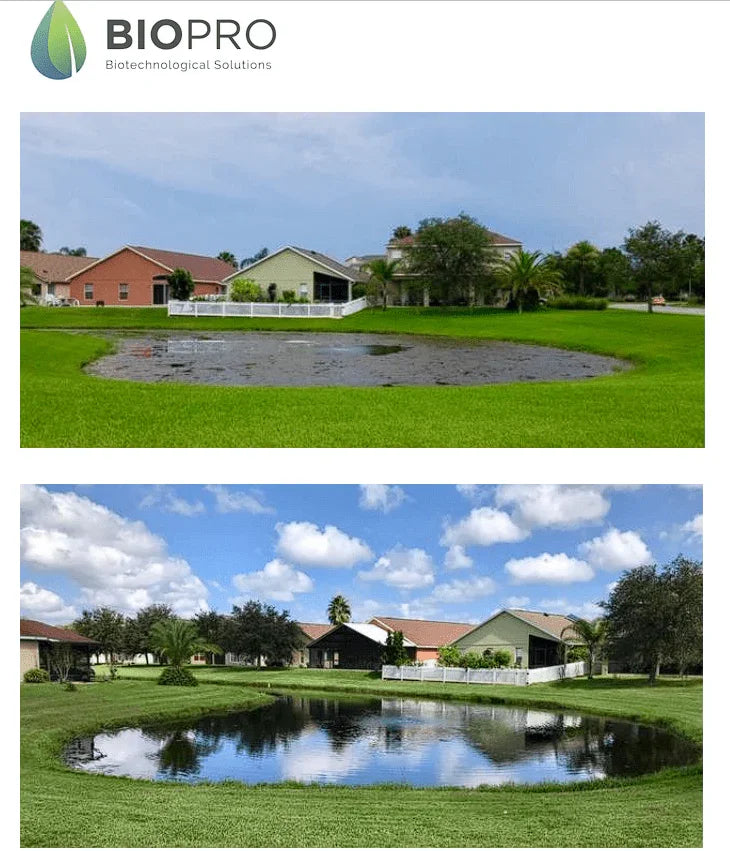 A - Bioshock Extreme, pond/lake management, natural way to remove algae, beneficial bacteria - Biopro Solution