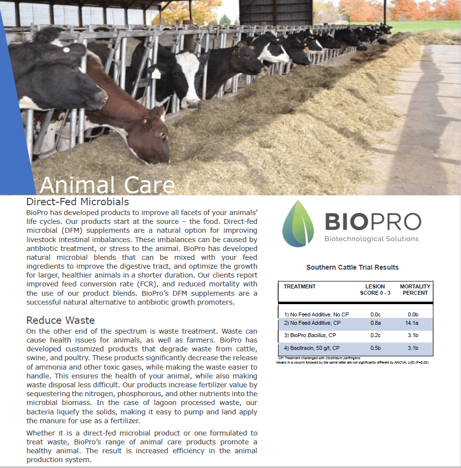 Biopro Solutions cattle feed supplement with probiotics for healthy animals and better milk production