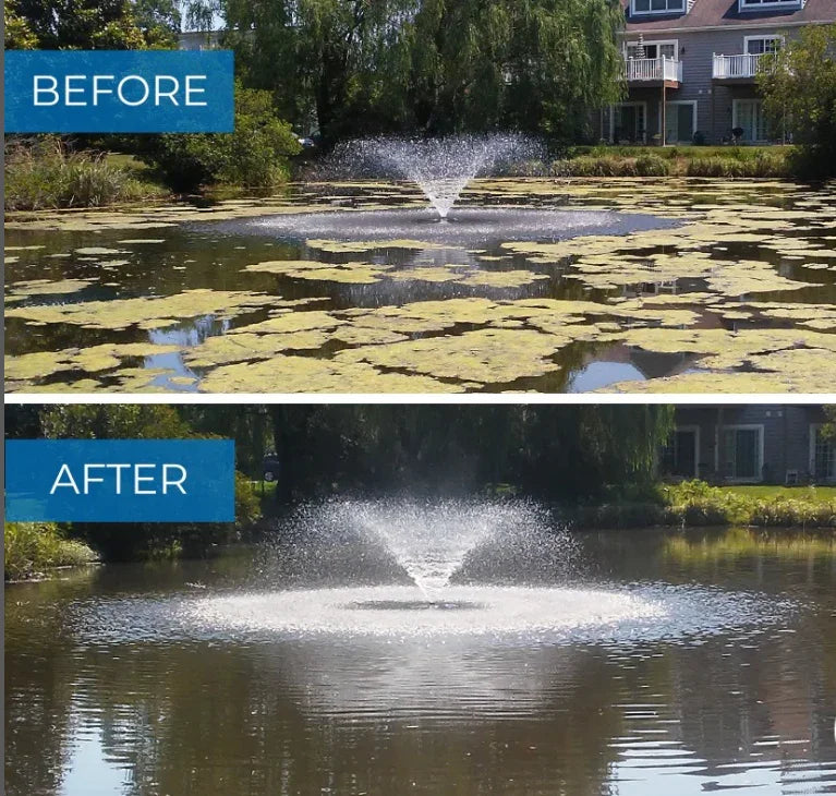 Before and after pond cleaning with reduced algae and clear water around a fountain in a residential area