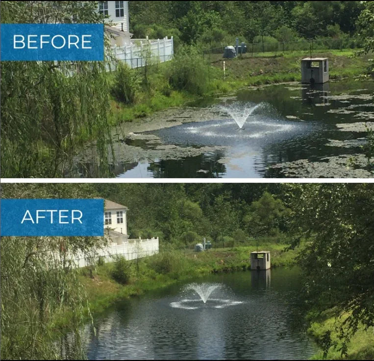 Before and after pond cleanup showing clearer water, reduced algae, and visible fountain spray