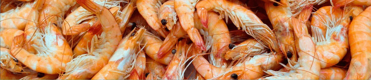 Fishpro Blend, aquaculture, fish supplement - Biopro Solution