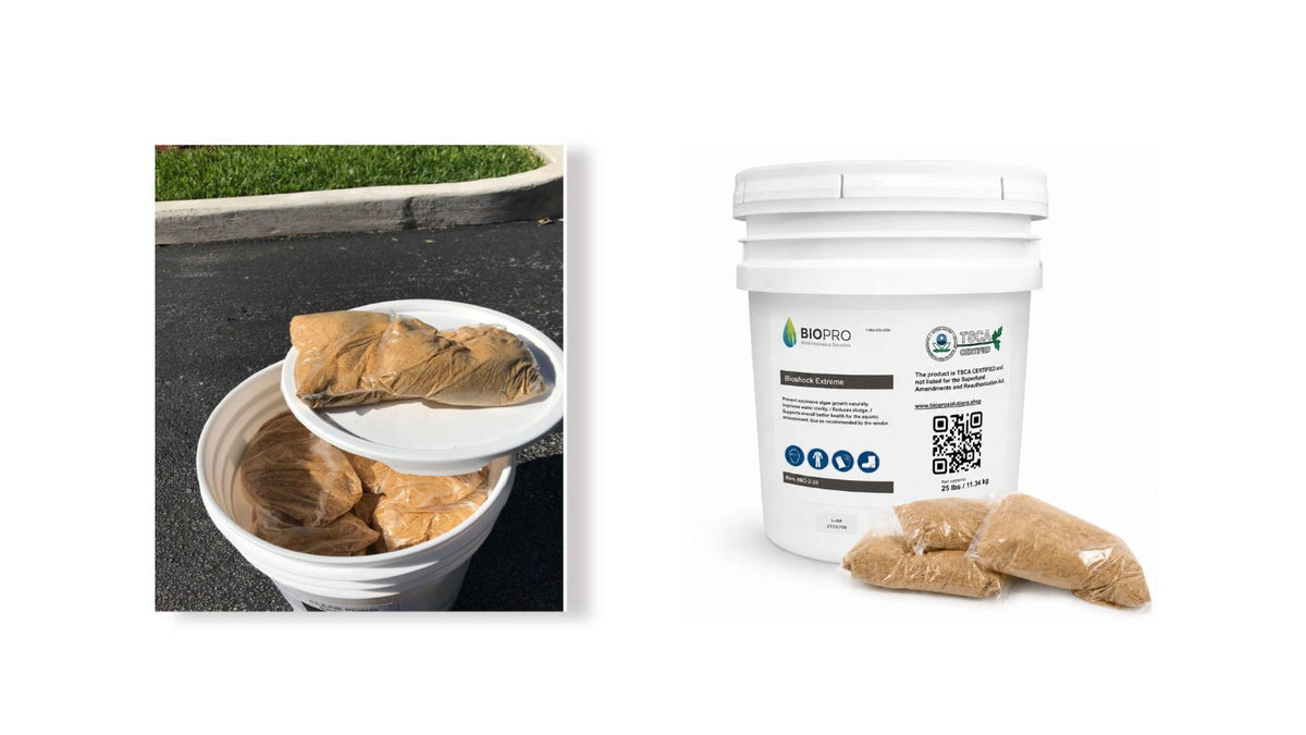 algae treatments for ponds, best algae killer for ponds