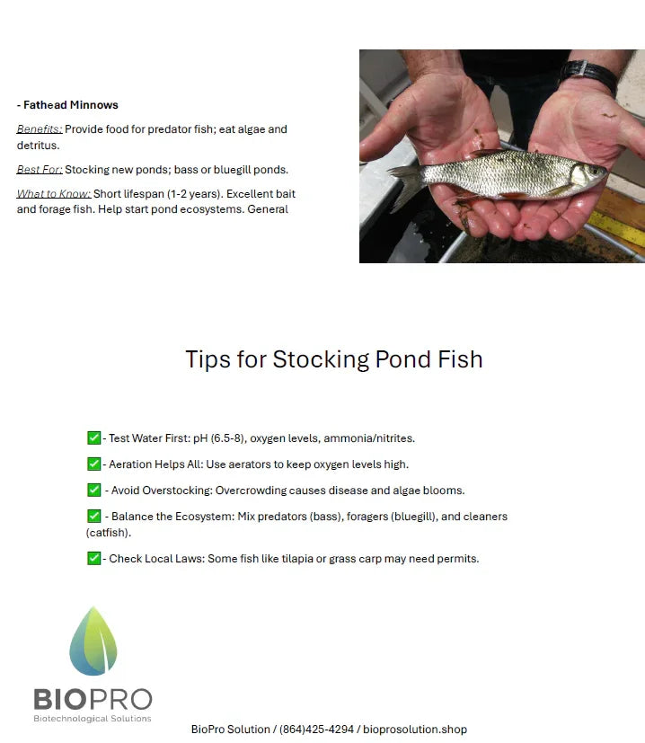 Whether you're building a new pond, stocking fish for recreational fishing, or looking to naturally manage pests and algae, fathead minnows are a smart, eco-friendly choice. 