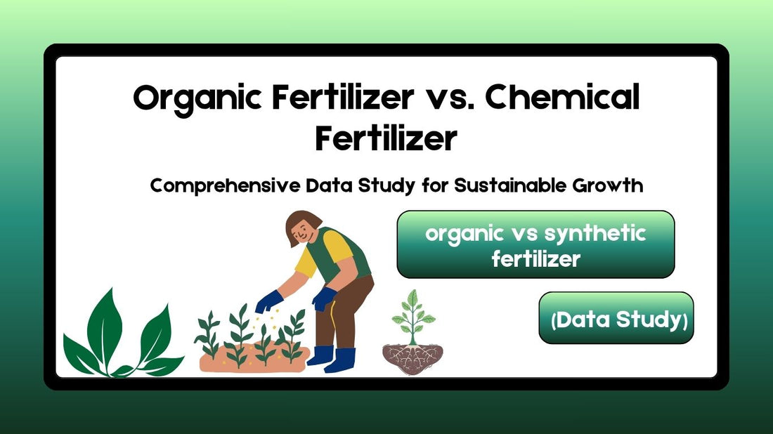 Organic Fertilizer vs Chemical Fertilizer (Data Study)