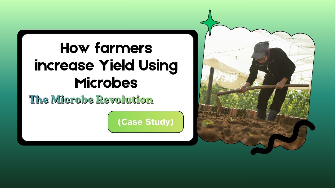 How farmers increase Yield Using Microbes (Case Study)