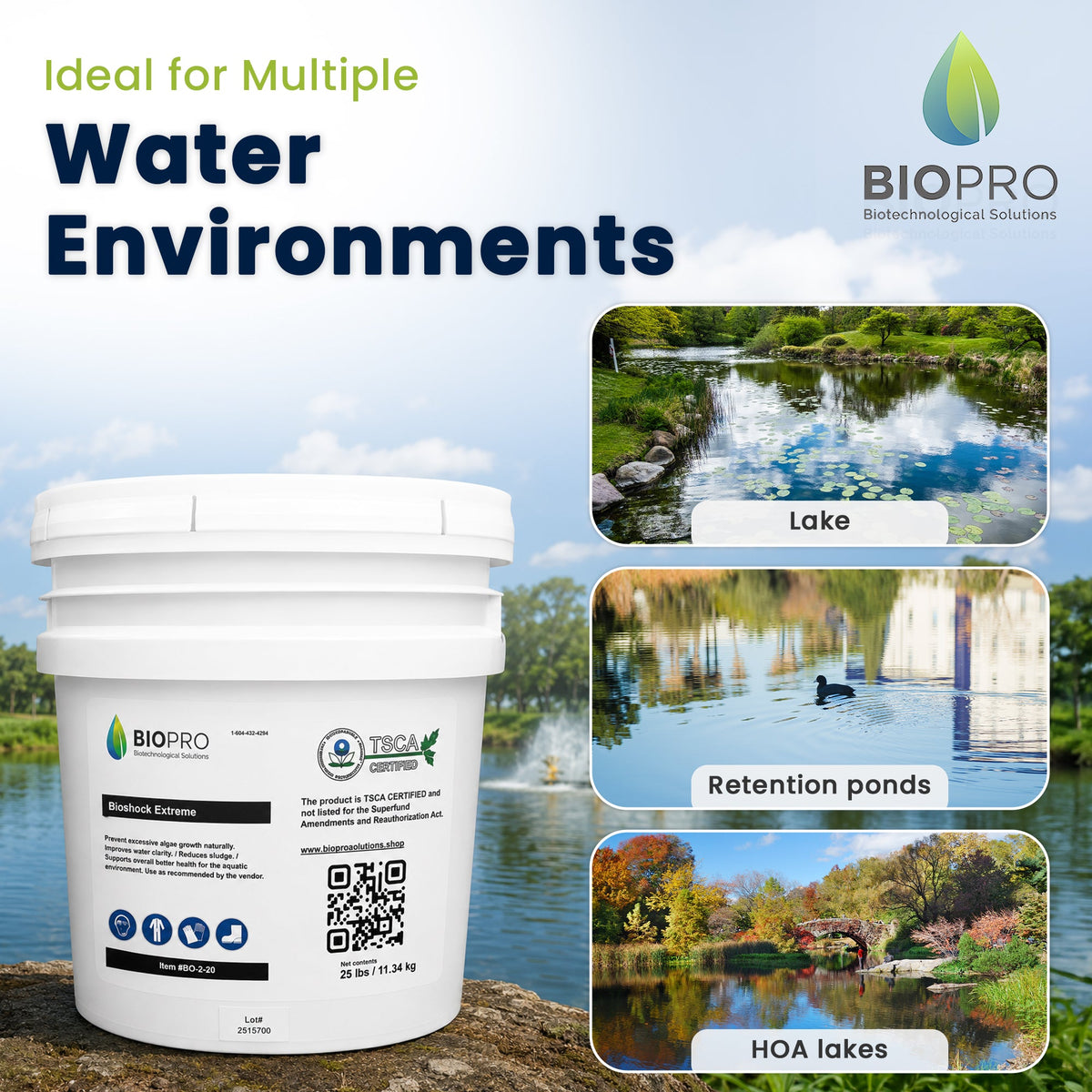Smart Way to Get Rid of Algae in Koi Pond Naturally with A Bioshock Extreme Care System