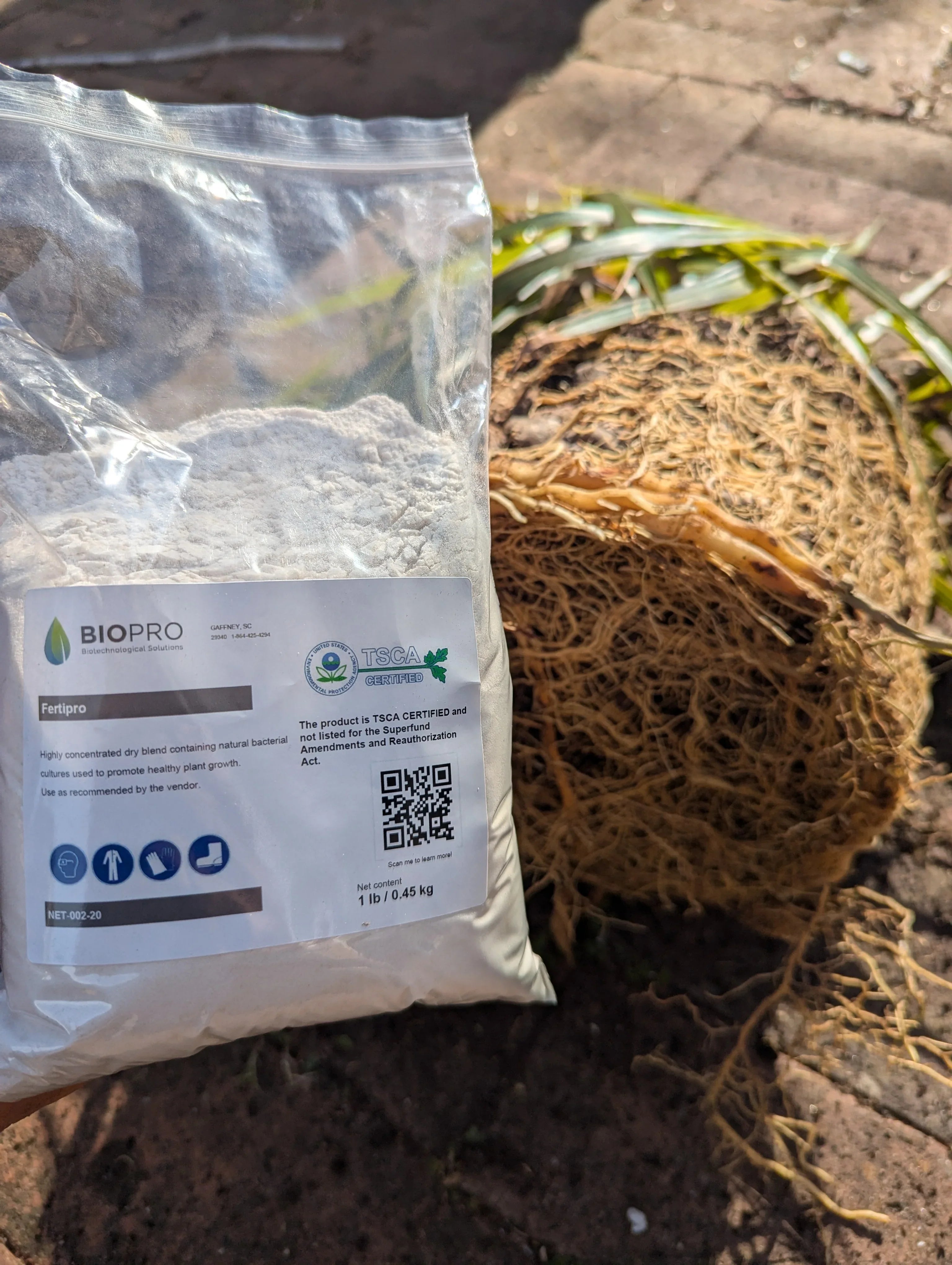Fertipro The Science Behind Fertipro: Beneficial Bacteria for Sustainable Farmi ...