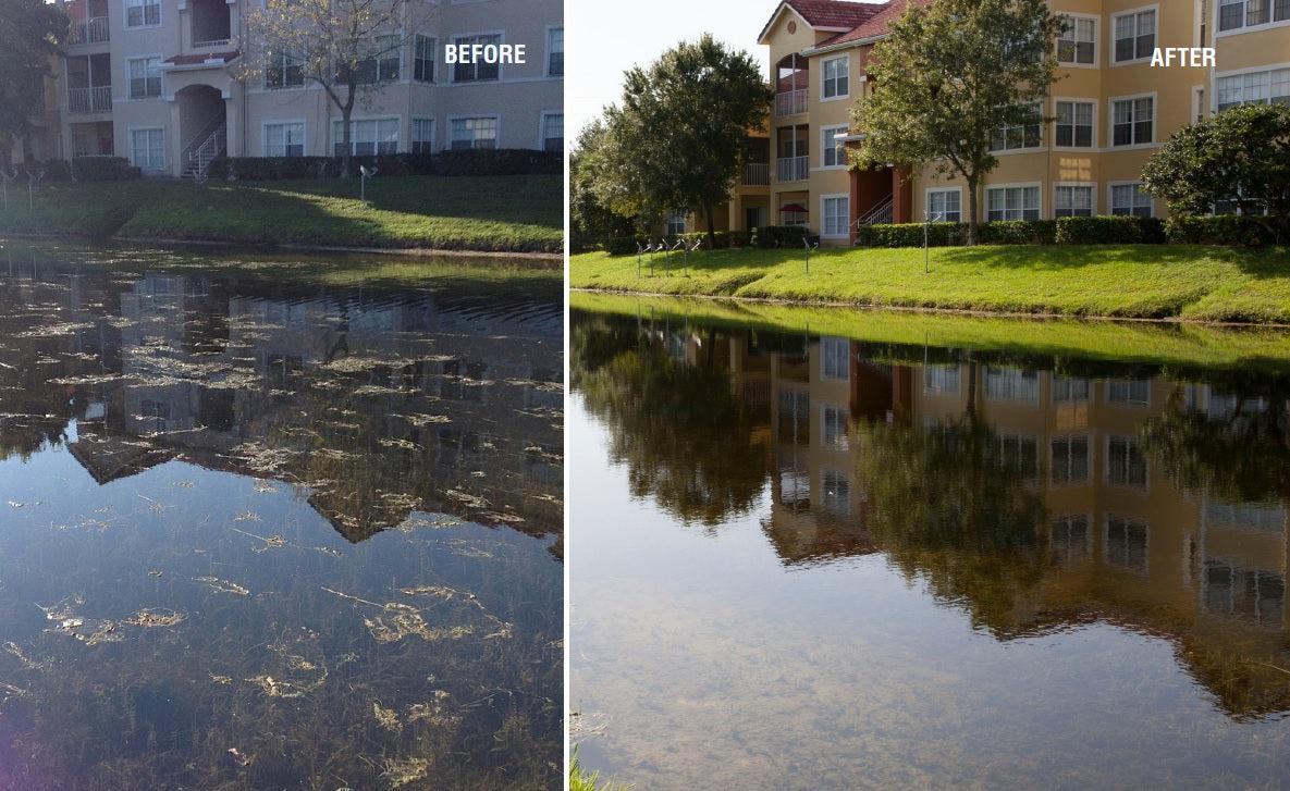 Top 10 Causes of Fish Pond Pollution (2026) + Proven Fixes