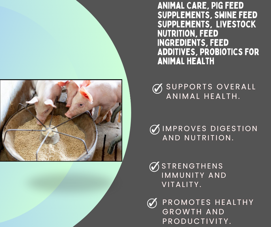 Pig Additives Animal Care for Goats and Sheep | Natural Feed & Health Support ...