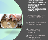 Animal_Care_Pig_feed_supplements_Swine_feed_supplements_Livestock_Nutrition_Feed_Ingredients_Feed_Additives_probiotics_for_animal_health