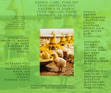 Young chicks feeding from yellow poultry feeders in a clean poultry farm environment