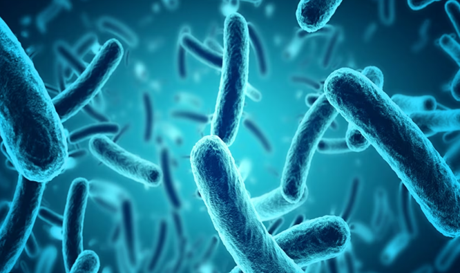 Beneficial microbes from BioPro Solution