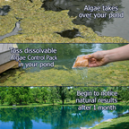 Bioshock Extreme (25 lbs), pond/lake management, natural way to remove algae, beneficial bacteria