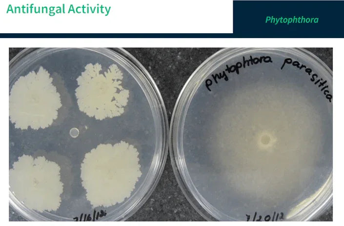  FertiPro enzyme and bacteria used on crops