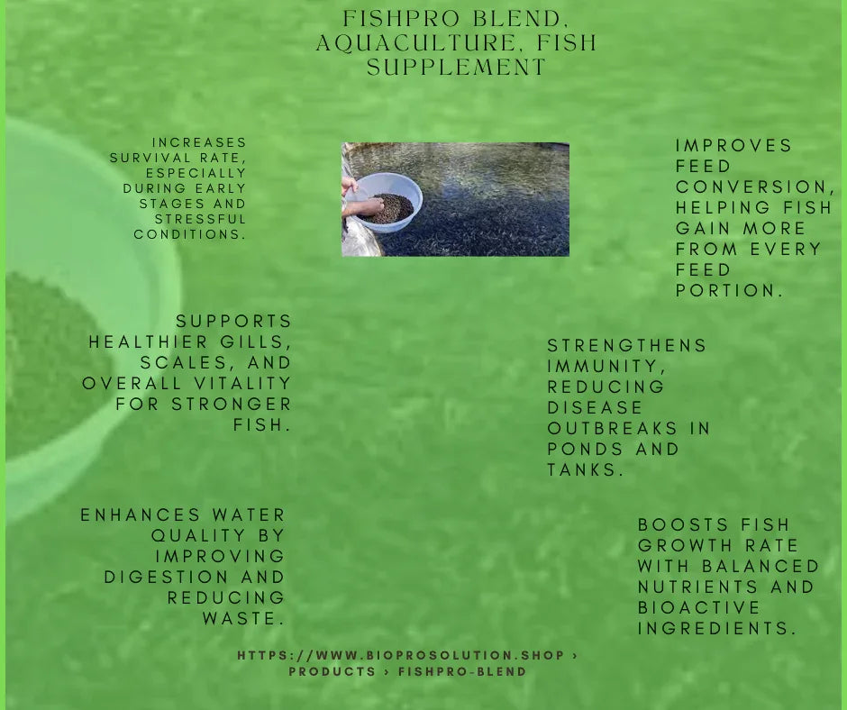 FishPro Blend aquaculture fish supplement benefits with image of feeding fish in pond