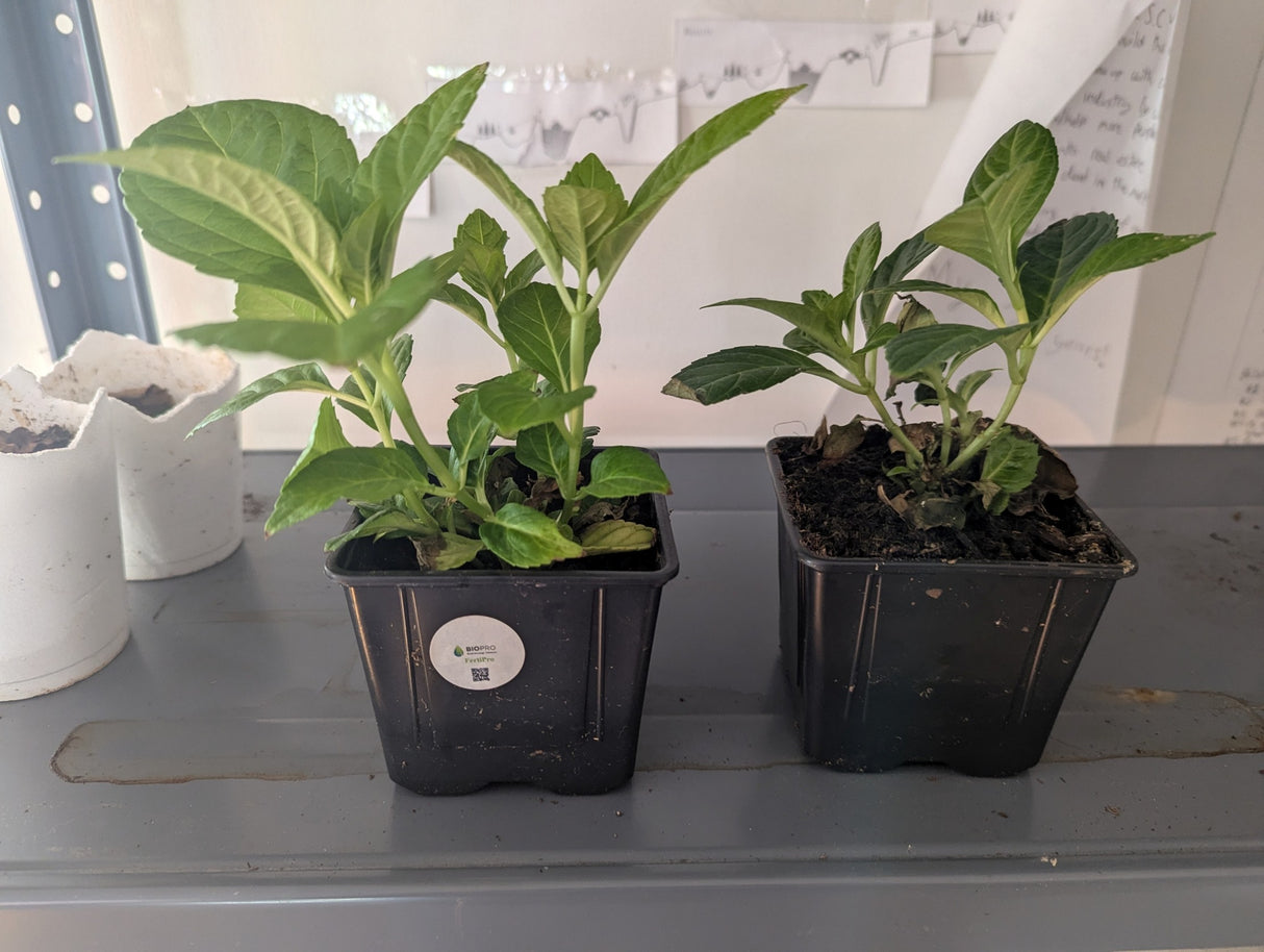 Fertipro™, Horticulture, Botany, Agriculture, Organic Farming, Plant Physiology, Greenhouse Cultivation, Agroecology, Sustainable Agriculture