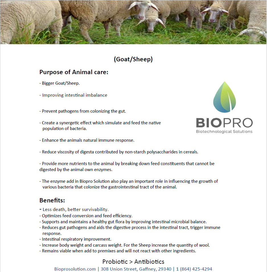 Goat/Sheep feed product info