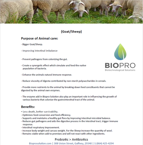 Goat/Sheep feed product info