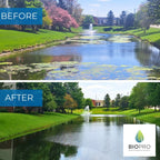 Bioshock Extreme (25 lbs), pond/lake management, natural way to remove algae, beneficial bacteria