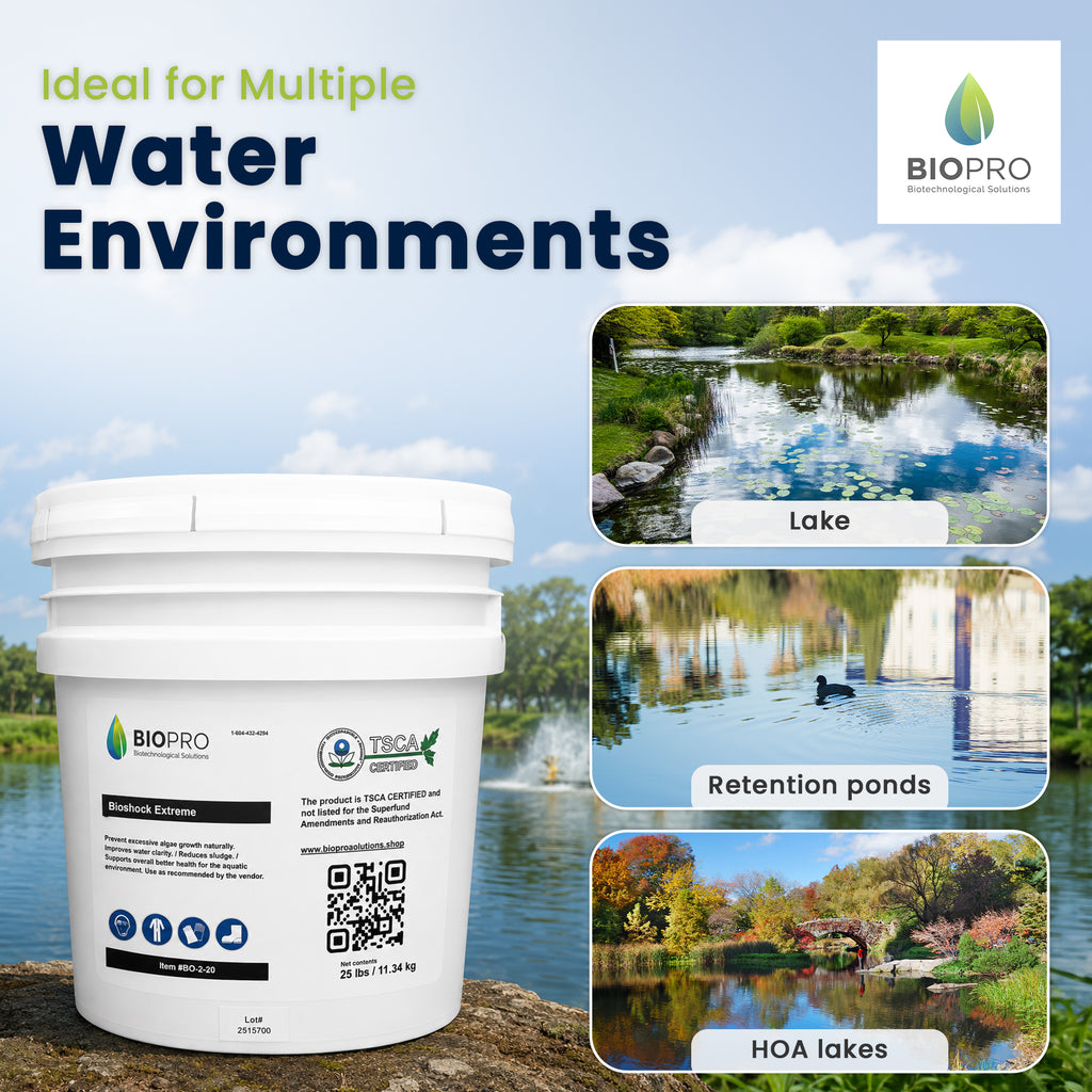 Bioshock Extreme (25 lbs), pond/lake management, natural way to remove algae, beneficial bacteria