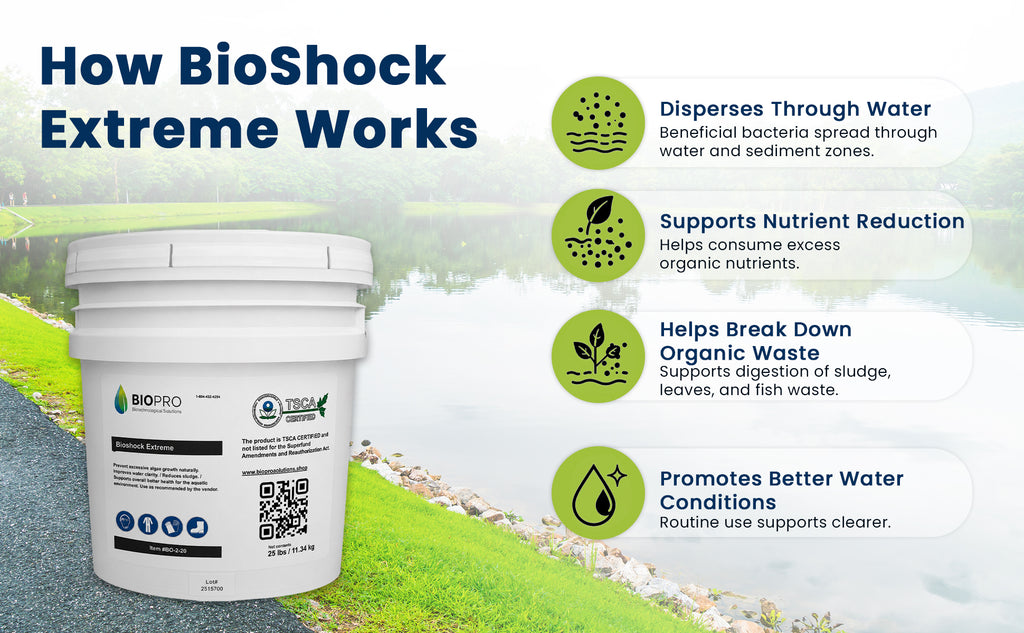 Bioshock Extreme (25 lbs), pond/lake management, natural way to remove algae, beneficial bacteria