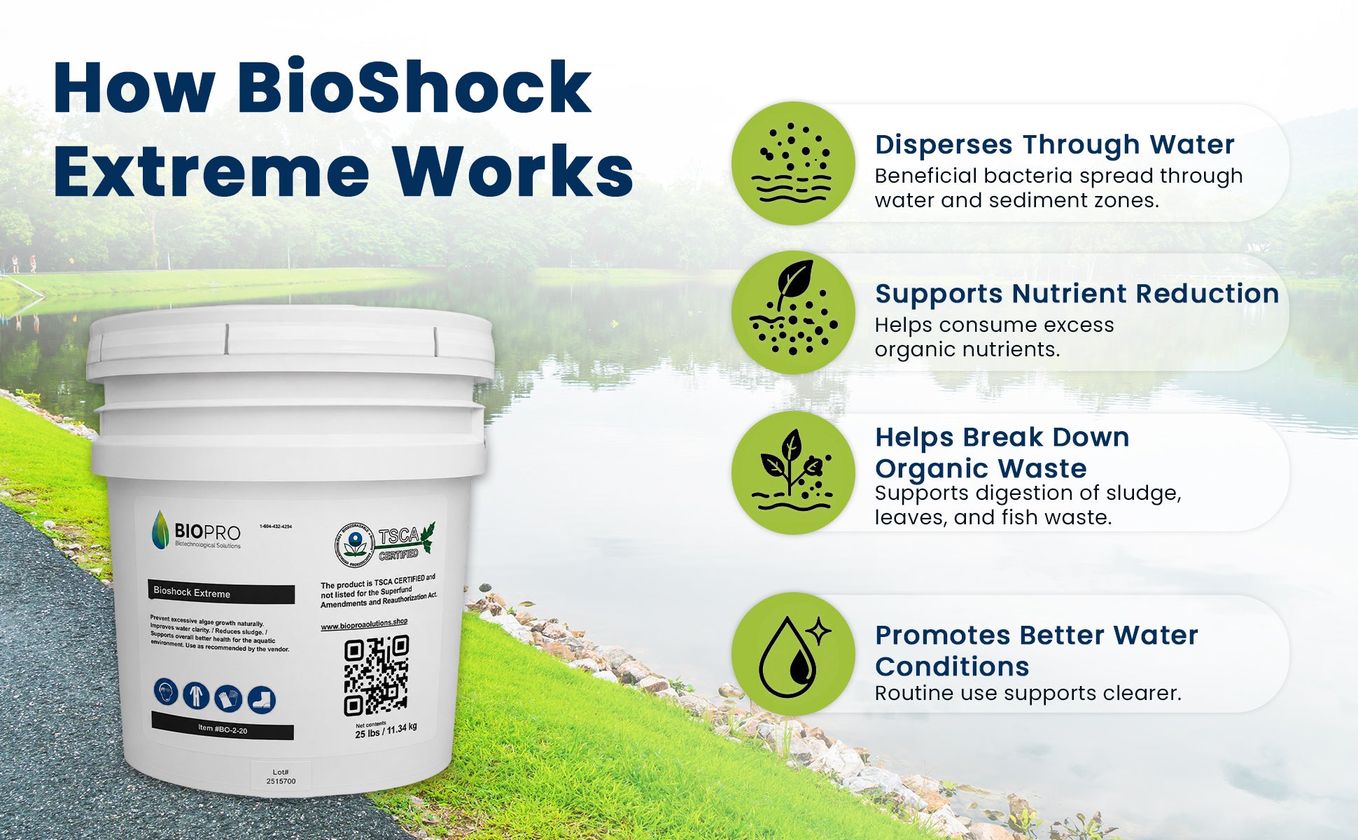Bioshock Extreme (25 lbs), pond/lake management, natural way to remove algae, beneficial bacteria
