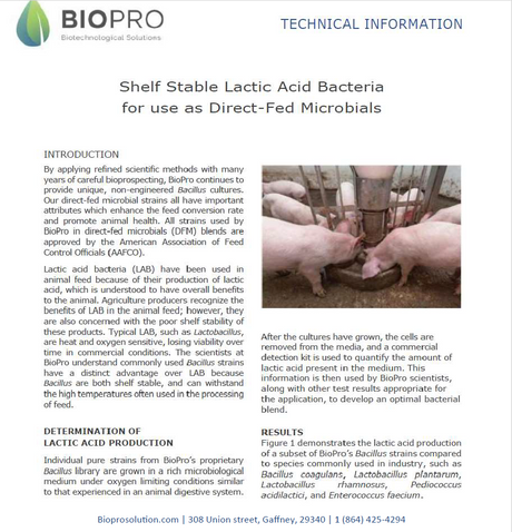 Pig feed product Technical Information