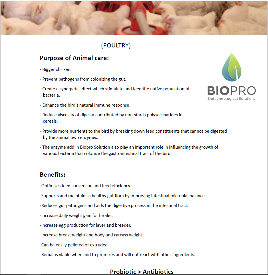 Poultry Feed supplement product purpose and benefits