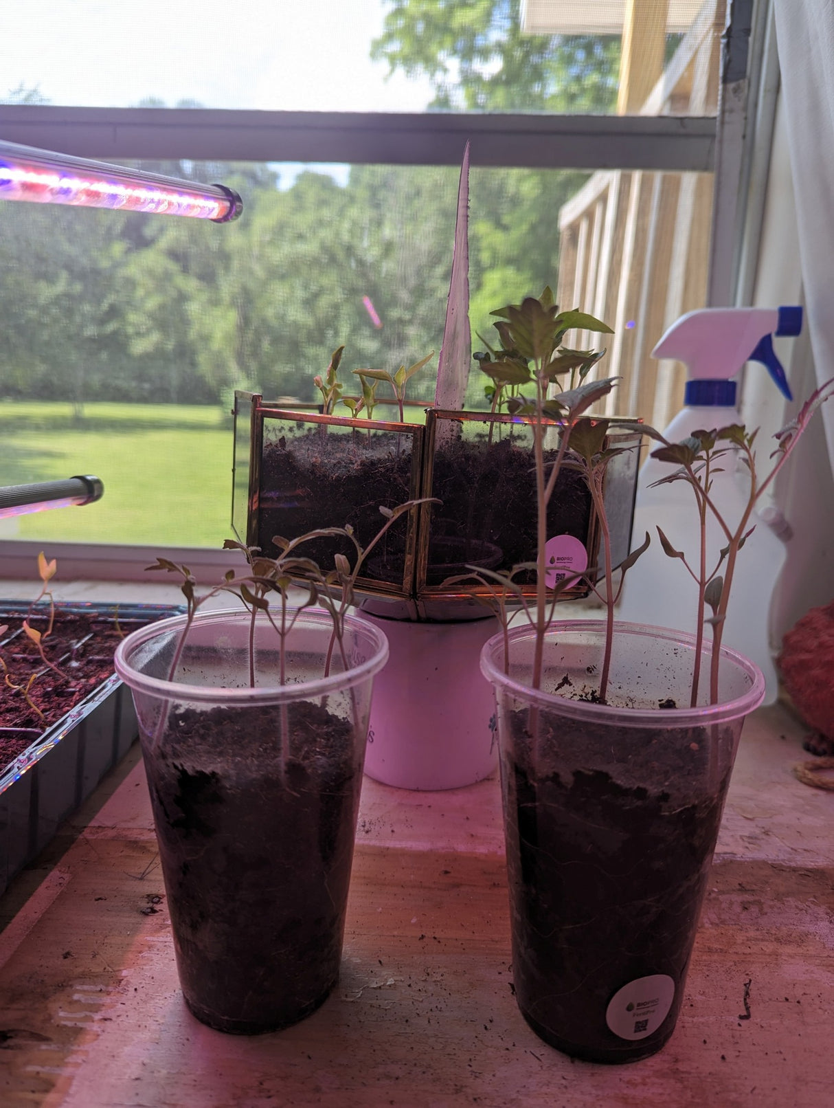 Fertipro™, Horticulture, Botany, Agriculture, Organic Farming, Plant Physiology, Greenhouse Cultivation, Agroecology, Sustainable Agriculture