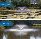 Bioshock Extreme (25 lbs), pond/lake management, natural way to remove algae, beneficial bacteria