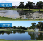 Bioshock Extreme (25 lbs), pond/lake management, natural way to remove algae, beneficial bacteria