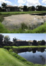 A - Bioshock Extreme, pond/lake management, natural way to remove algae, beneficial bacteria - Biopro Solution
