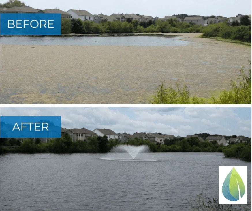 A - Bioshock Extreme, pond/lake management, natural way to remove algae, beneficial bacteria - Biopro Solution