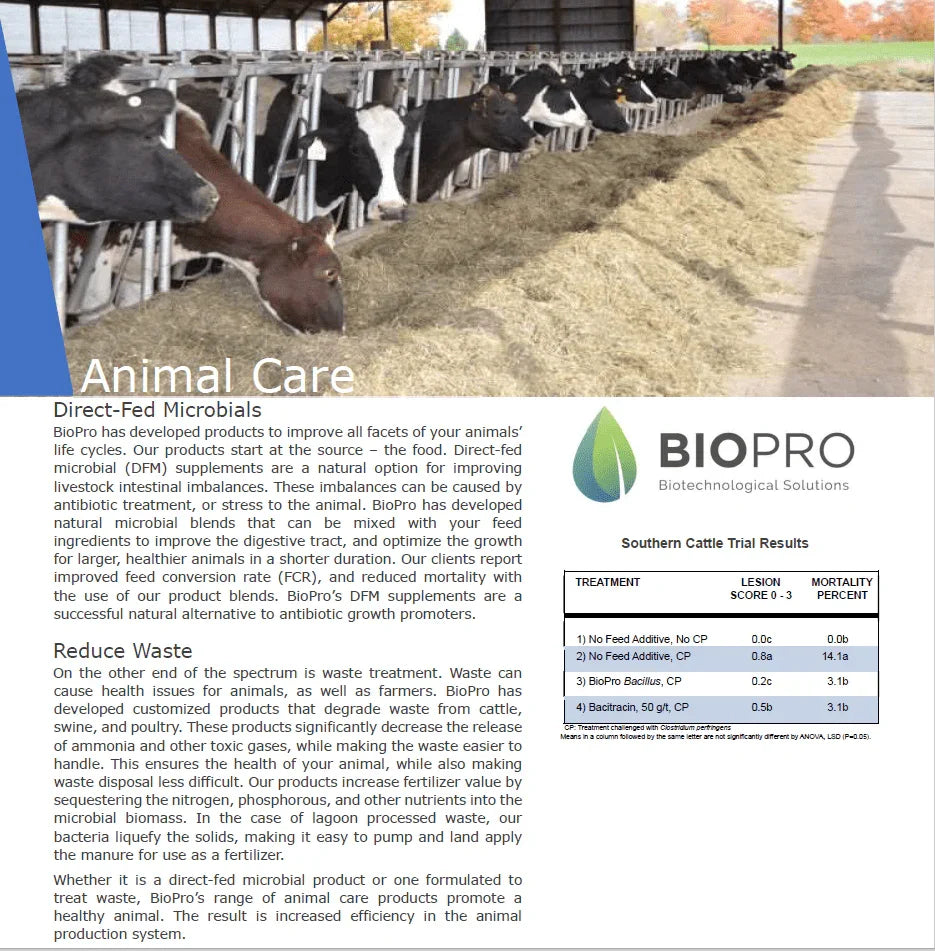 Biopro Solutions cattle feed supplement with probiotics for healthy animals and better milk production