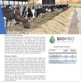 Animal Care, Cattle feed supplements, Ruminants feed supplements, Probiotics for healthy animals, Increase milk production - Biopro Solution