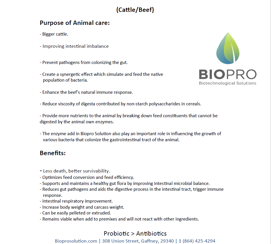 Animal Care, Cattle feed supplements, Ruminants feed supplements, Probiotics for healthy animals, Increase milk production - Biopro Solution