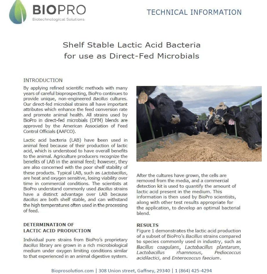 Biopro Solutions probiotic formula promoting livestock wellness and dairy productivity