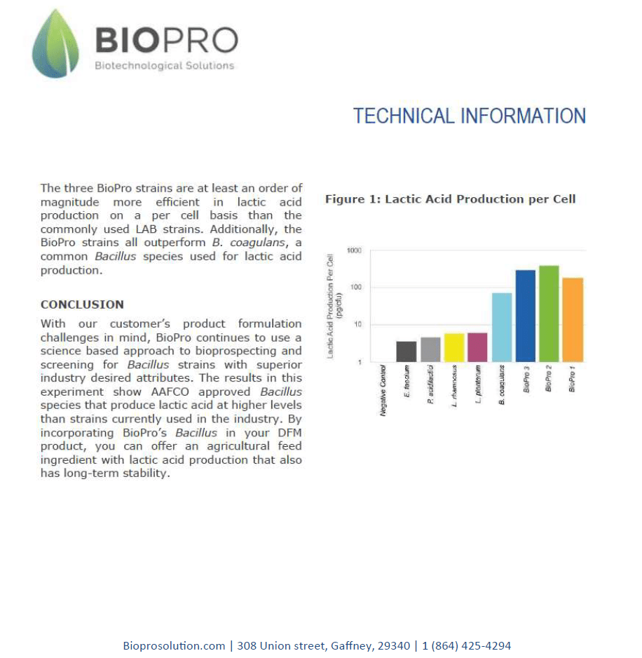 Animal Care, Cattle feed supplements, Ruminants feed supplements, Probiotics for healthy animals, Increase milk production - Biopro Solution