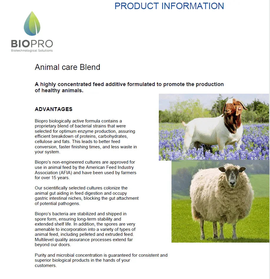 Probiotic livestock formula designed for small ruminant gut and immune health