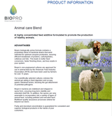 Animal Care, Goat Feed supplements, Sheep Feed supplements, Livestock Nutrition, Feed Ingredients, Feed Additives, probiotics for animal health - Biopro Solution