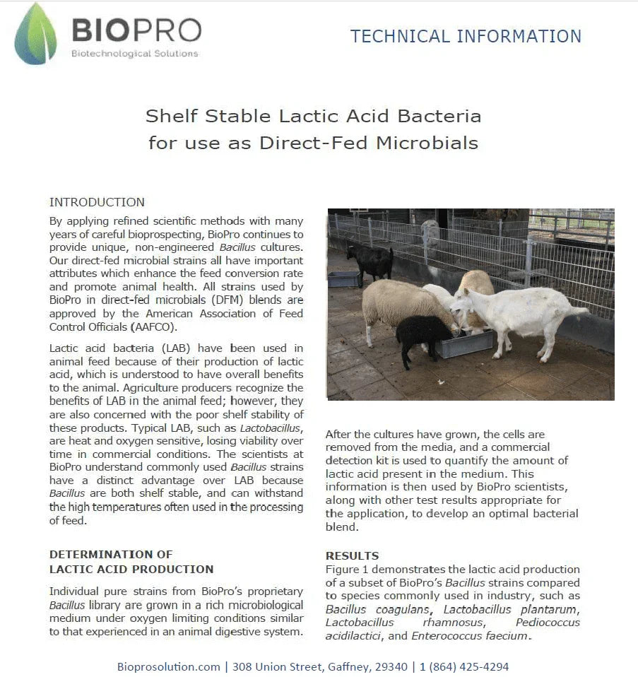 Healthy goats and sheep feeding on probiotic supplements for improved animal care and nutrition