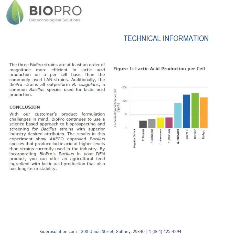 Livestock grazing after receiving probiotics and feed additives for better immunity and performance