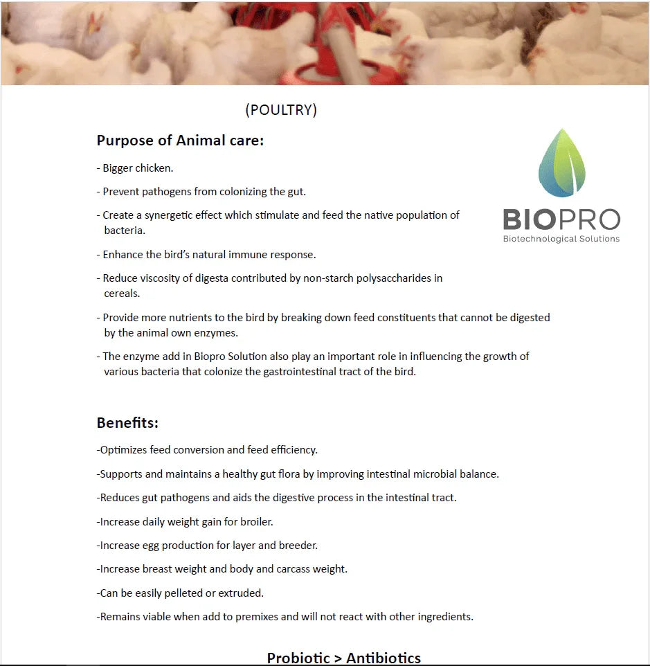 Bag of poultry feed supplement enriched with digestive enzymes and probiotics - Biopro Solution