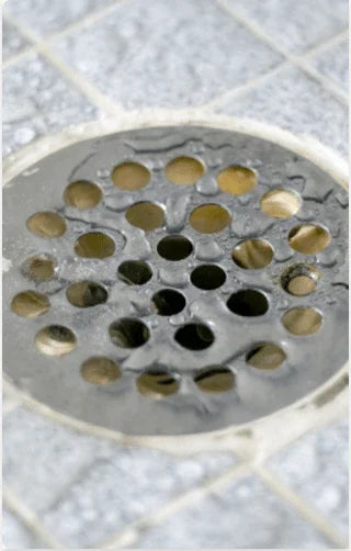 BactoPro, grease trap treatment, remove odor, 2 billion of bacteria that will digeste the grease, - Biopro Solution