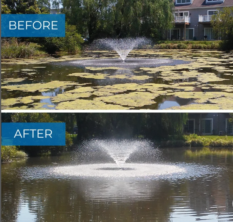 A-Bioshock Extreme (25 lbs), pond/lake management, natural way to remove algae, beneficial bacteria