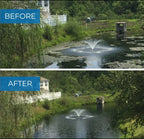 Before and after pond cleanup showing clearer water, reduced algae, and visible fountain spray