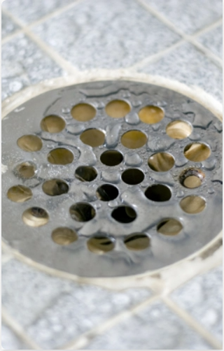 Drain with BactoPro
