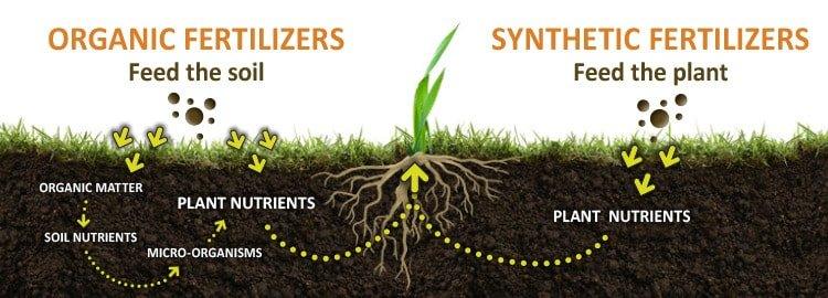 Fertipro, Horticulture, Botany, Agriculture, Organic Farming, Plant Physiology, Greenhouse Cultivation, Agroecology, Sustainable Agriculture - Biopro Solution
