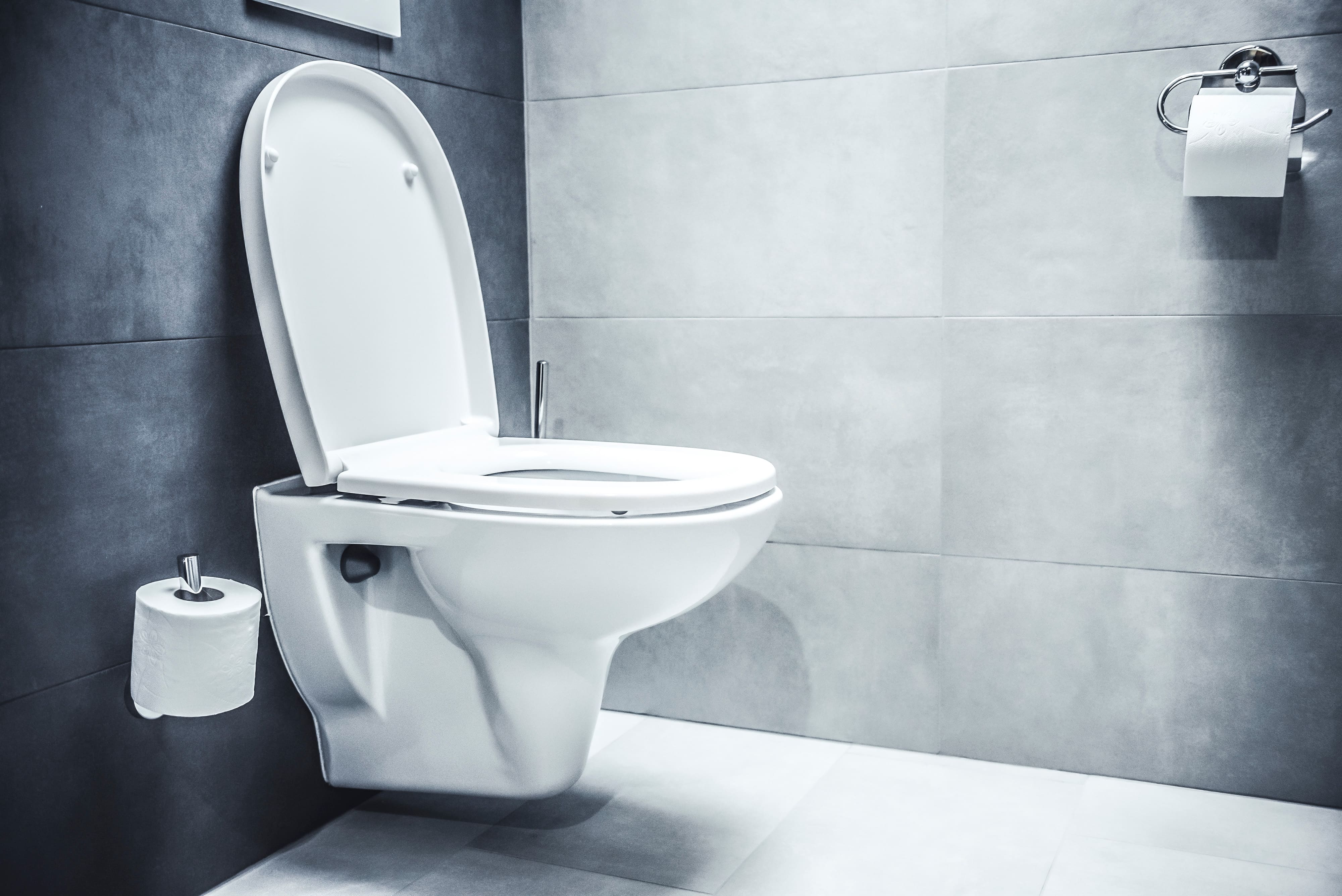 how to clean a toilet seat