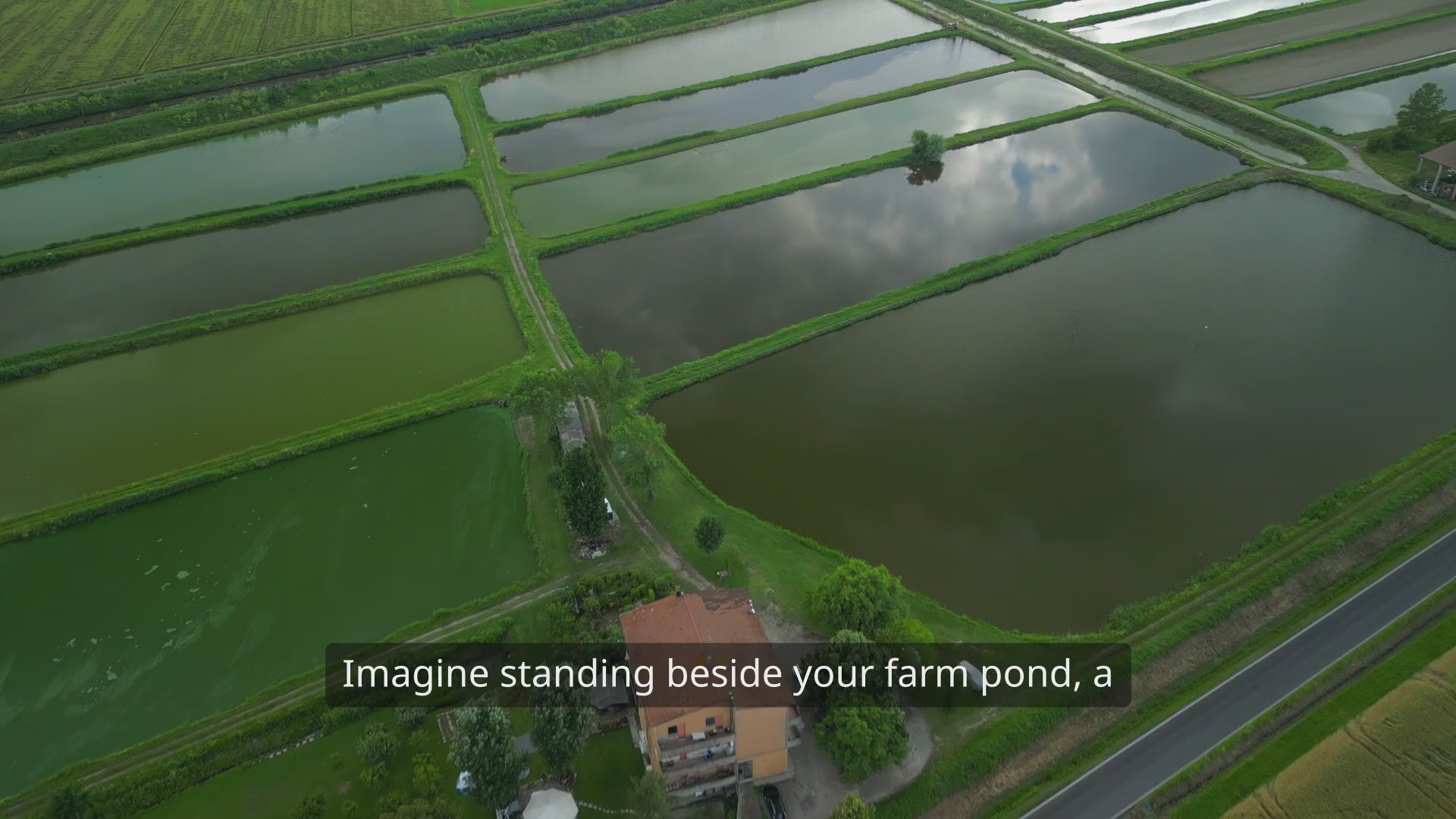 Biopro solution beneficial bacteria help in water clarity and crop health